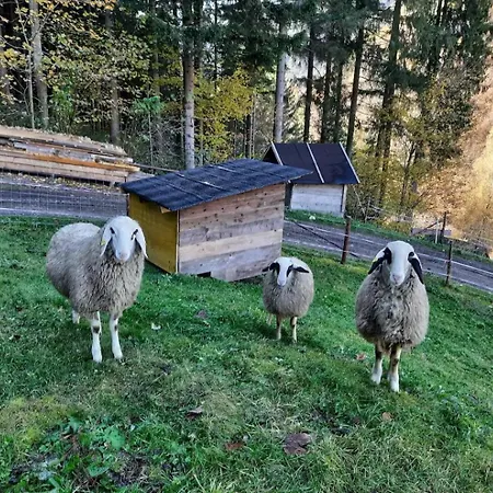 Waldenstein 1