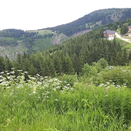 Waldenstein 1 Dom wakacyjny