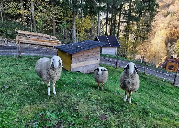 Waldenstein 1 Feriehus *