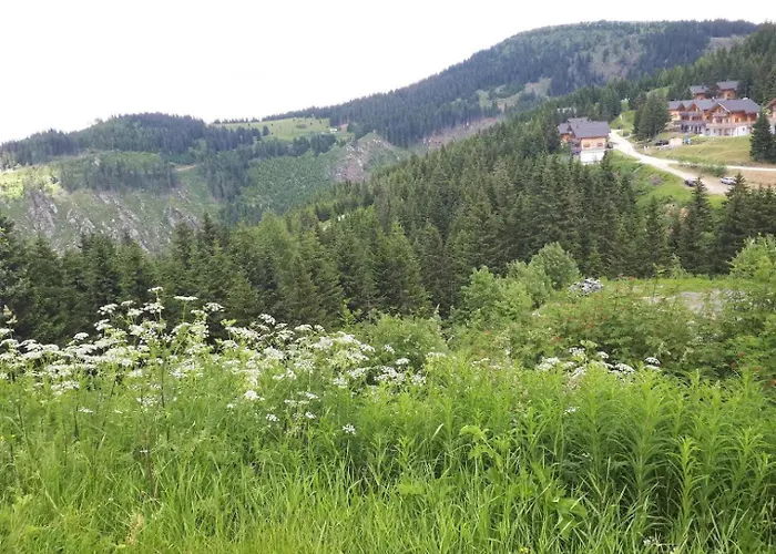 Waldenstein 1 Feriehus