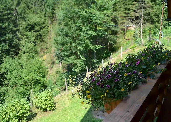 Waldenstein 1 Feriehus *