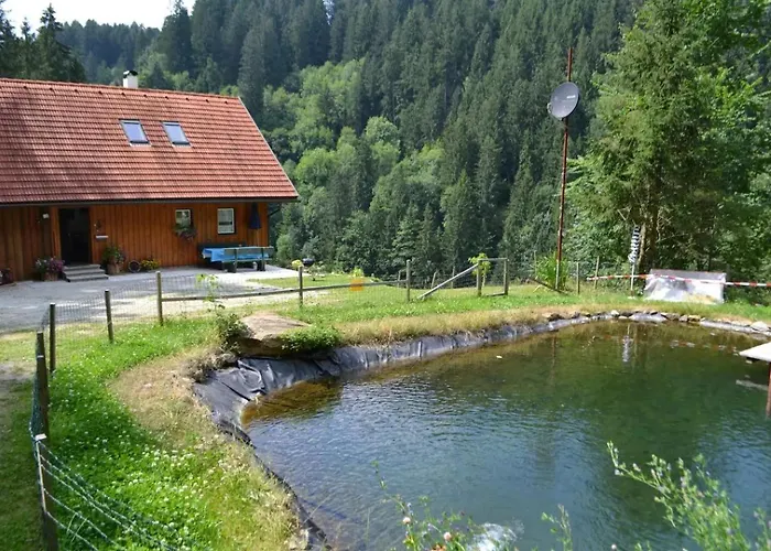 Waldenstein 1 Feriehus Waldenstein (Wolfsberg)